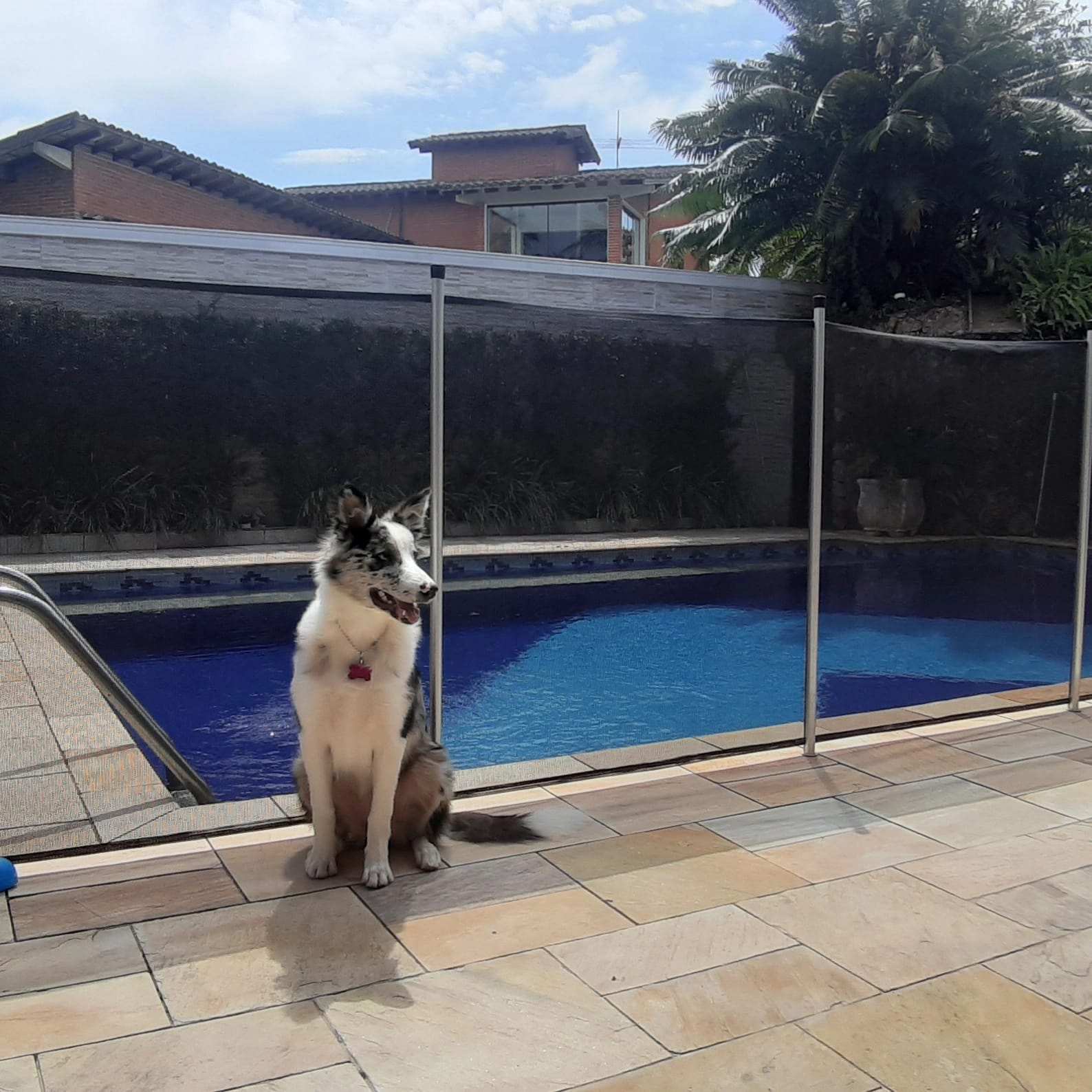 Redes para Piscinas
